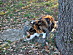 View full size picture