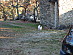 View full size picture