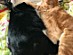 View full size picture