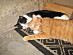 View full size picture