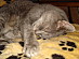View full size picture