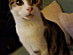 View full size picture