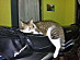 View full size picture