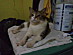 View full size picture
