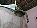 View full size picture