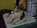 View full size picture