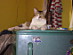 View full size picture