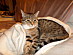 View full size picture