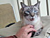 View full size picture