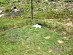 View full size picture