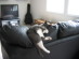 View full size picture