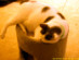 View full size picture