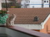 View full size picture