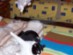 View full size picture