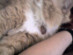 View full size picture