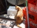 View full size picture
