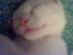 View full size picture