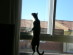 View full size picture