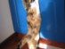 View full size picture