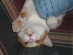 View full size picture