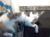 View full size picture