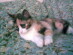 View full size picture
