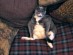 View full size picture