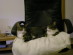 View full size picture