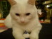 View full size picture