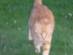 View full size picture