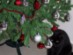 View full size picture
