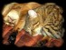 View full size picture