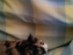 View full size picture