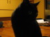 View full size picture