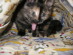 View full size picture