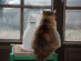 View full size picture