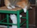 View full size picture
