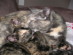 View full size picture