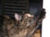 View full size picture
