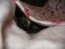 View full size picture
