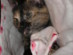 View full size picture