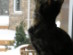 View full size picture