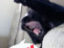 View full size picture