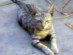 View full size picture
