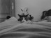 View full size picture