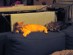 View full size picture