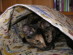 View full size picture