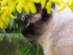 View full size picture