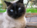 View full size picture
