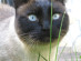 View full size picture